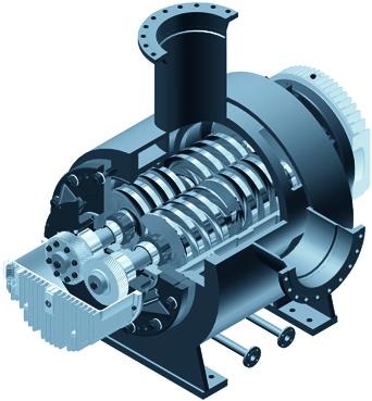 Bornemann Twin Screw